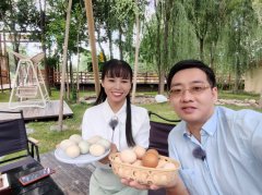  惠州新农夫携“鸡